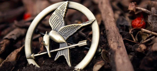 mockingjay.jpg