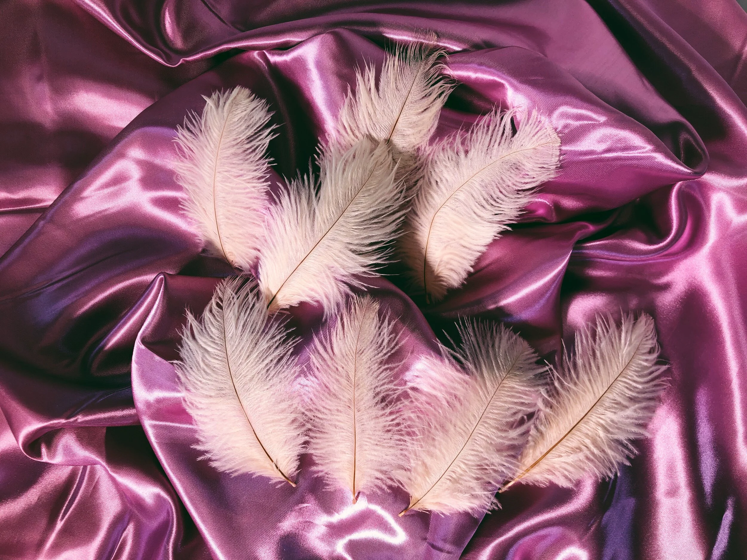 Ostrich feathers