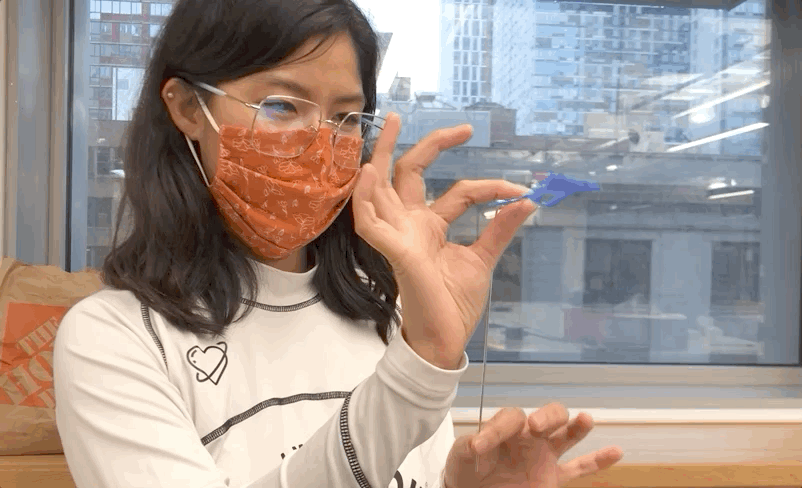 mechanism-trial.gif