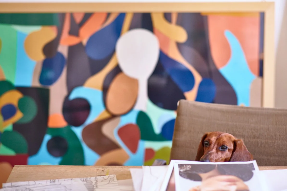 COLLABORATION RODEBJER https://www.rodebjer.com/us/A+collaboration+with+artist+%26+illustrator+Liselotte+Watkins.html