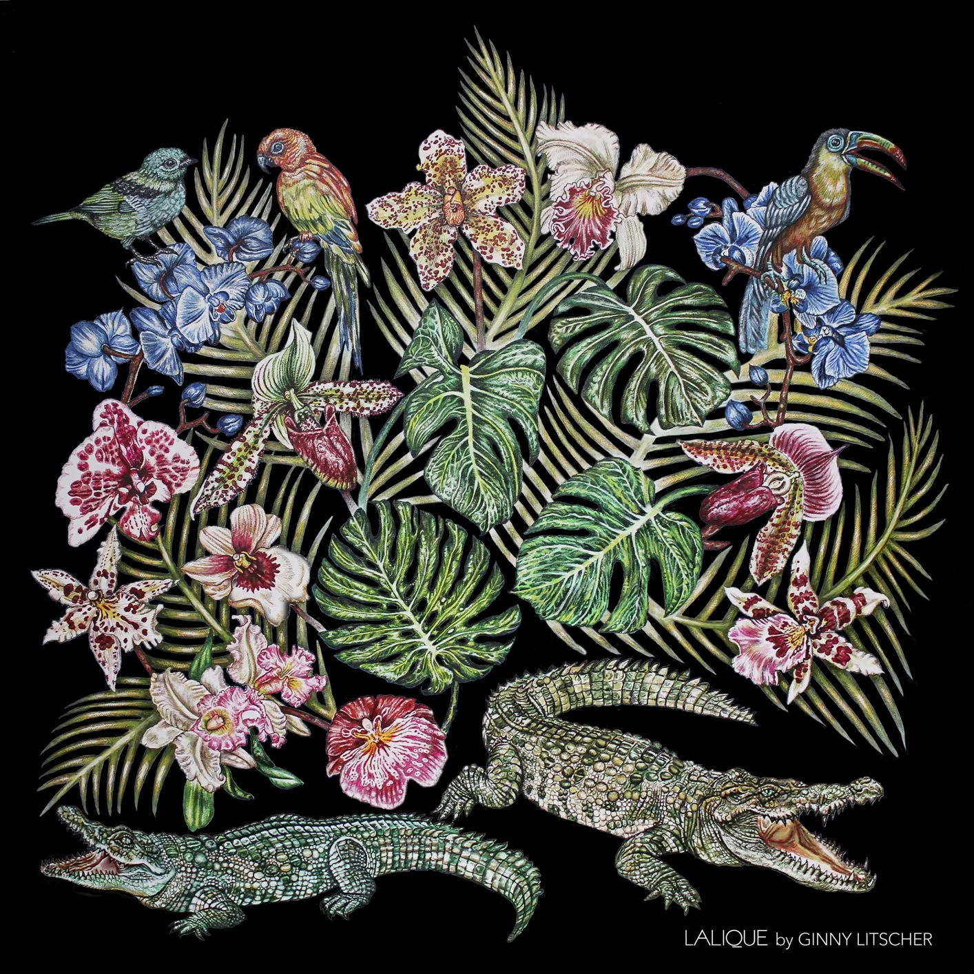 CROCODILE BLACK DESIGN LOGO.jpg