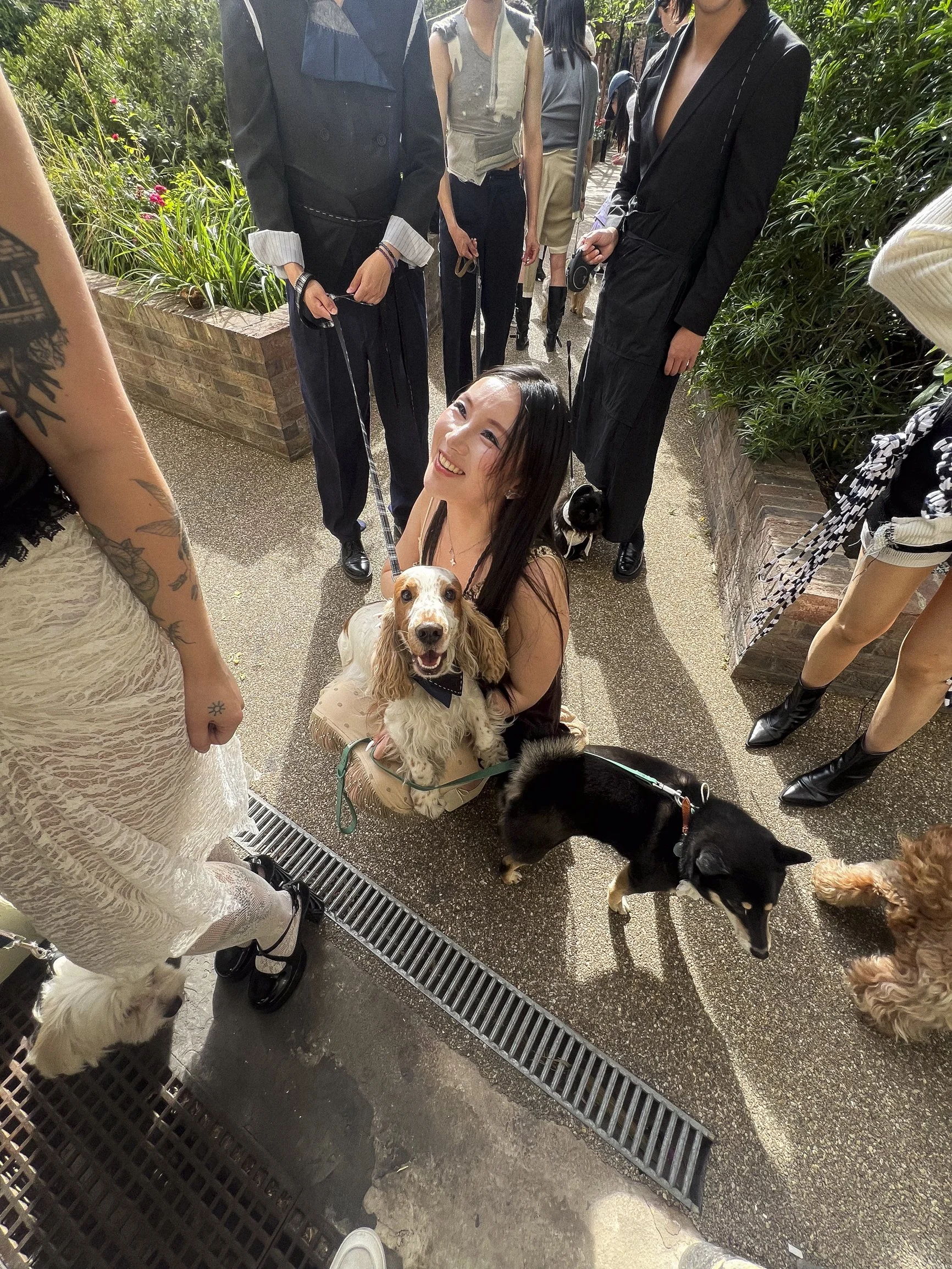 QiaoQiao Pet Festival 2026: London Fashion Learns to Walk Beside Its Dogs