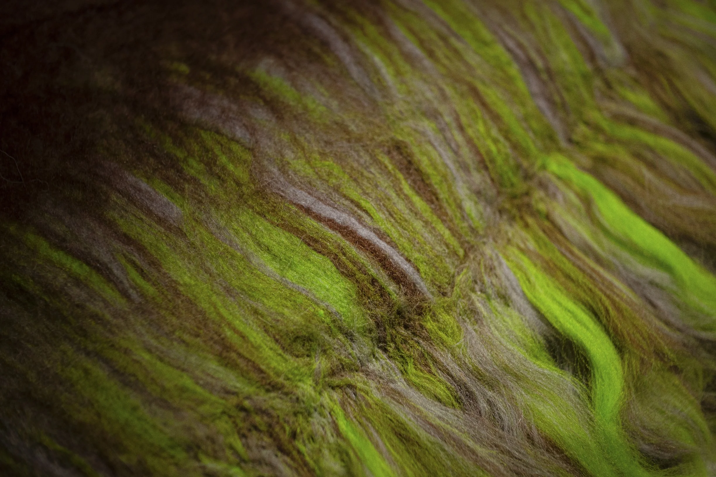 PAPIS_ENOLA_INHABITANTS_TEXTILE132.jpg