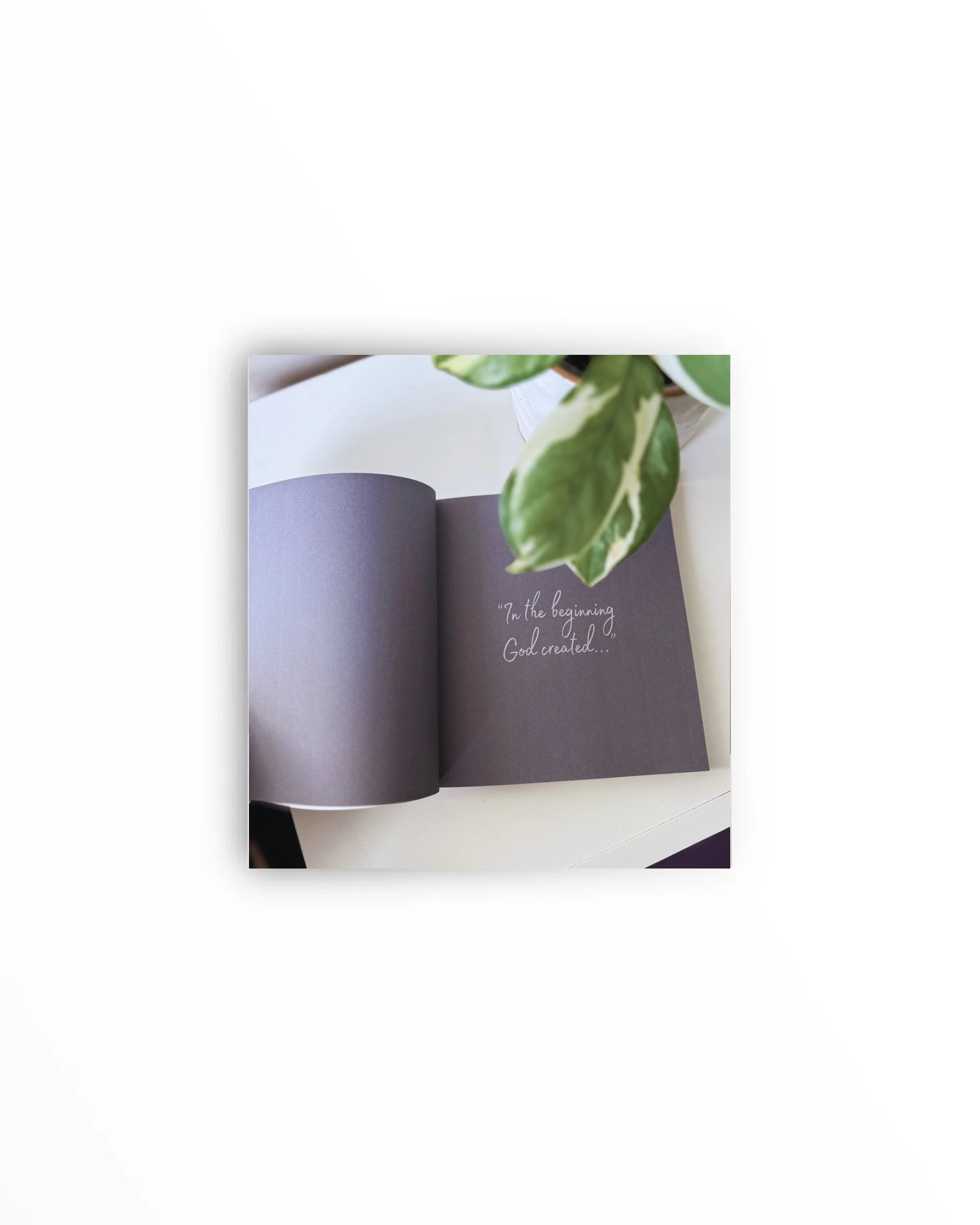 Jesse 2025 Reprint Web Photos_page-0008.jpg