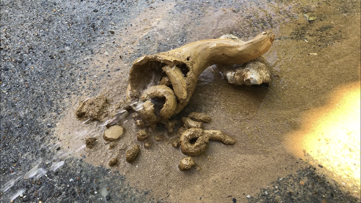 I will live forever - Philippe Bemberg 