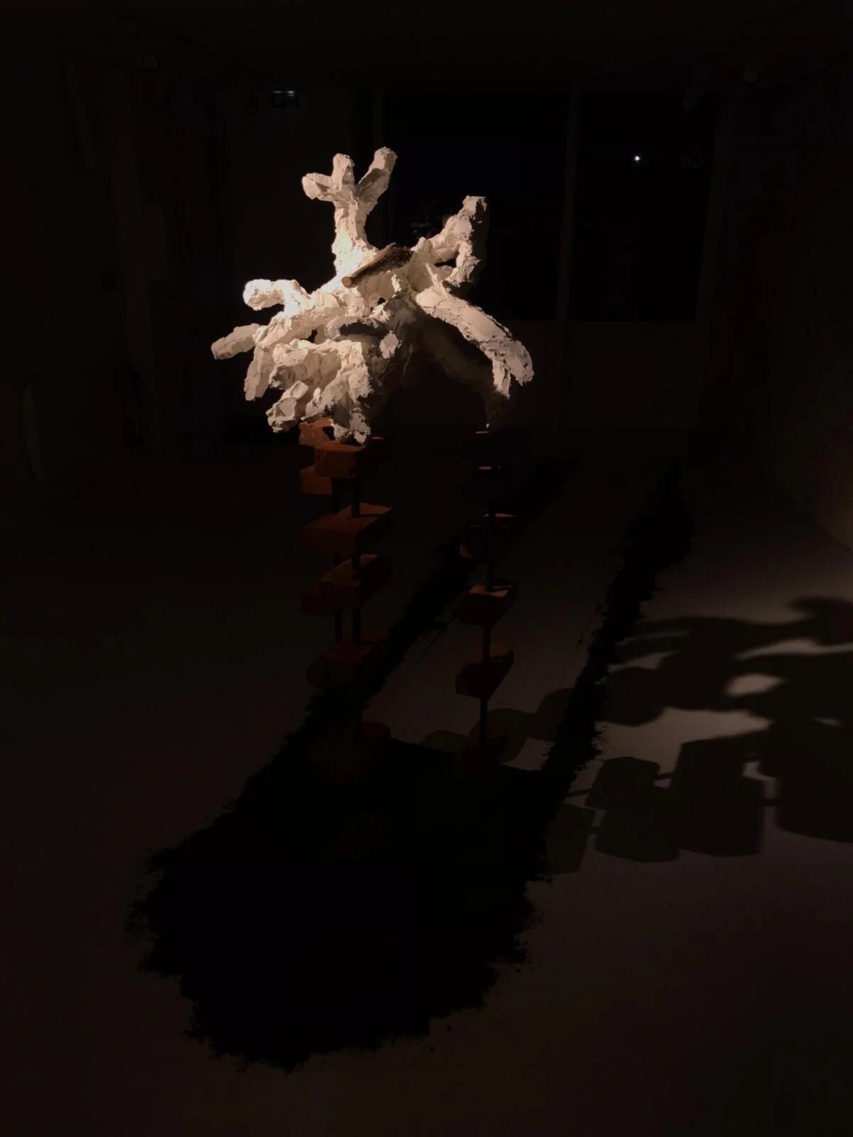 Rhizome 1. 76730 - Philippe Bemberg