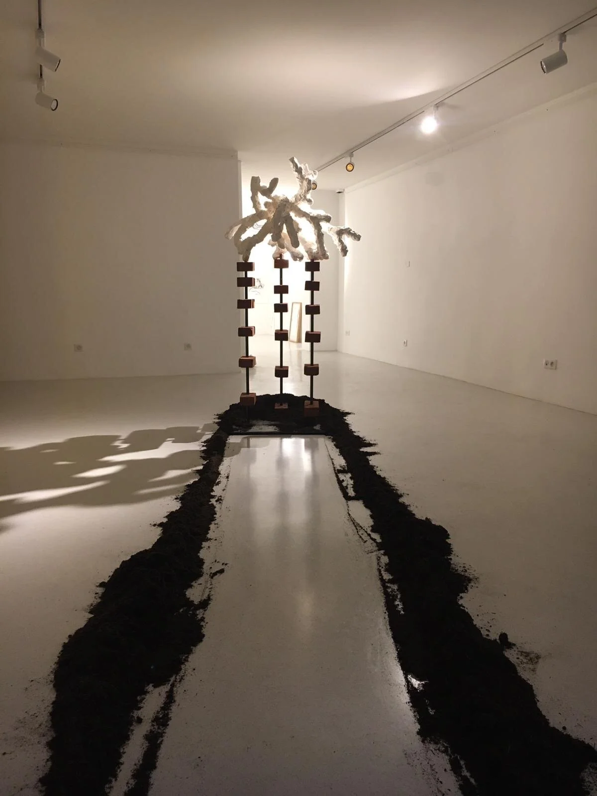 Rhizome 1. 76730 - Philippe Bemberg