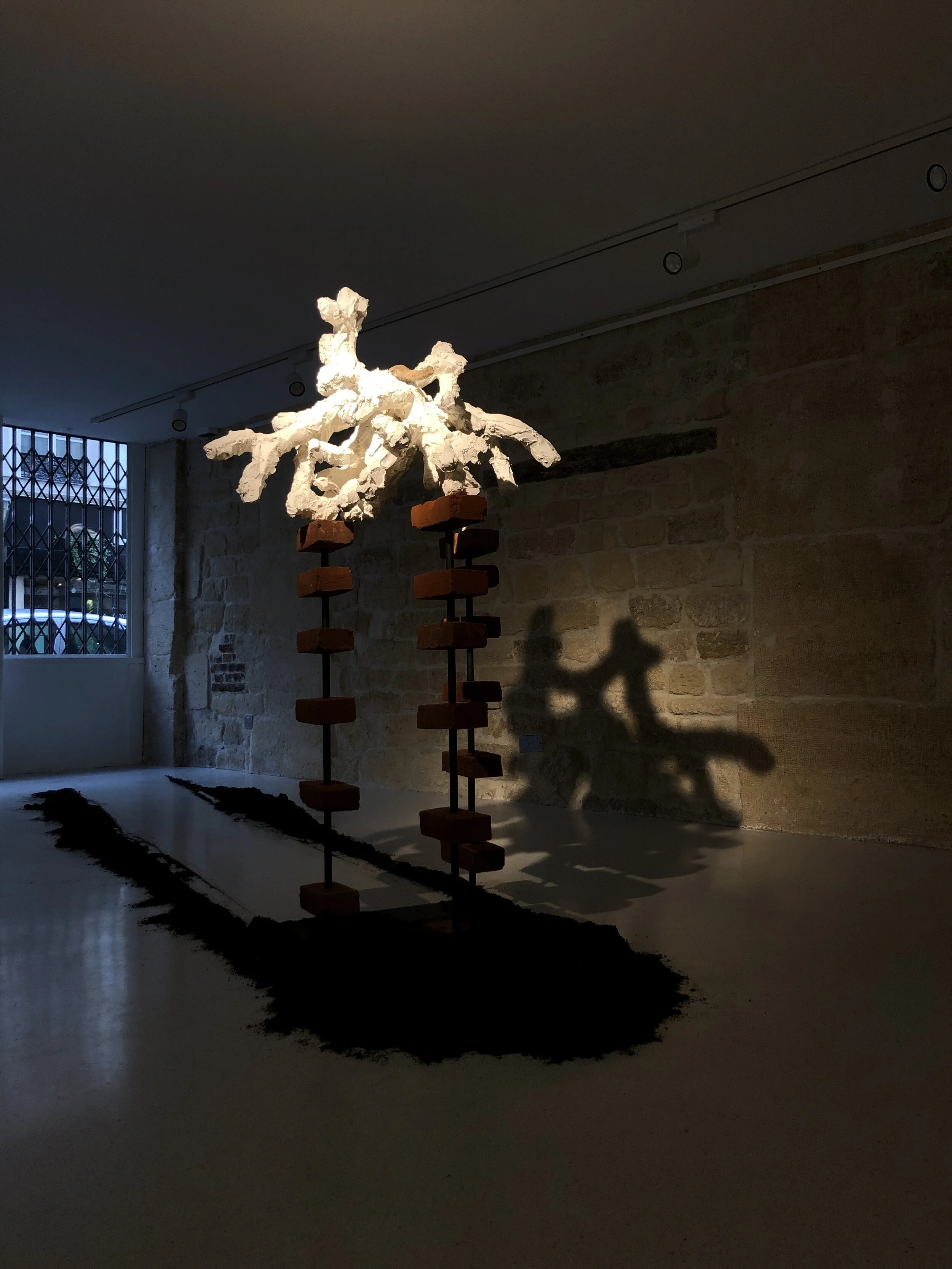 Rhizome 1. 76730 - Philippe Bemberg