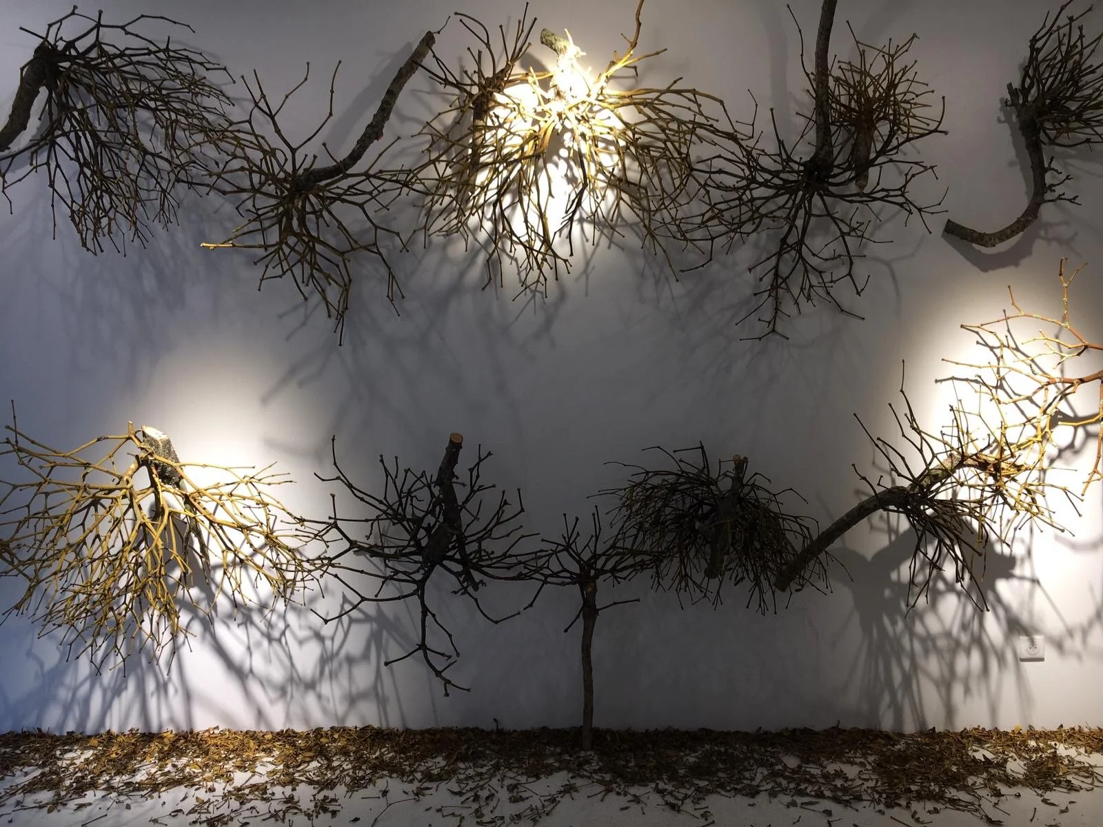 Inter-mezzo - Philippe Bemberg