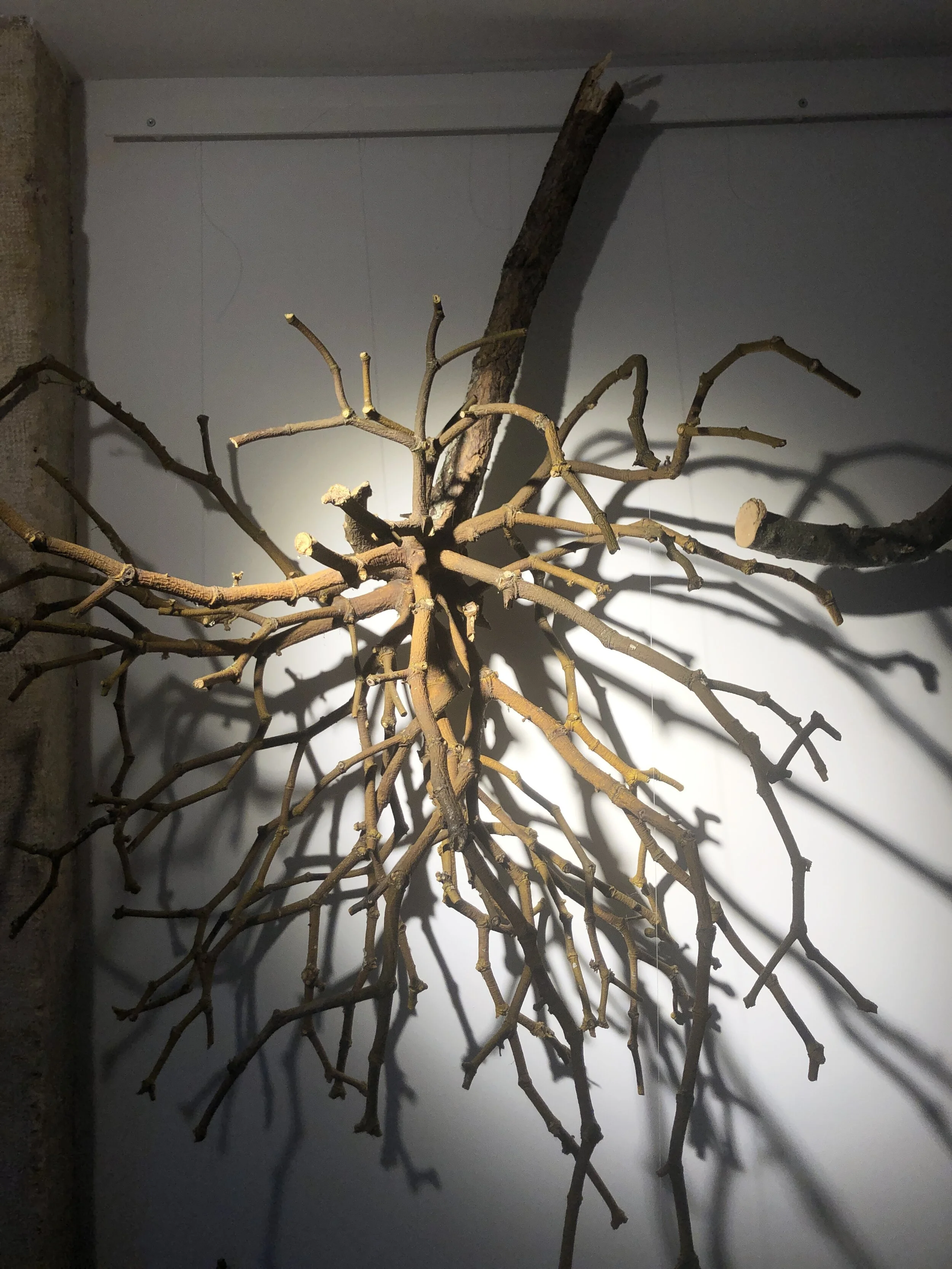 Inter-mezzo - Philippe Bemberg