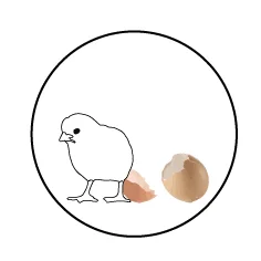 EVOLUTION 2-02.jpg