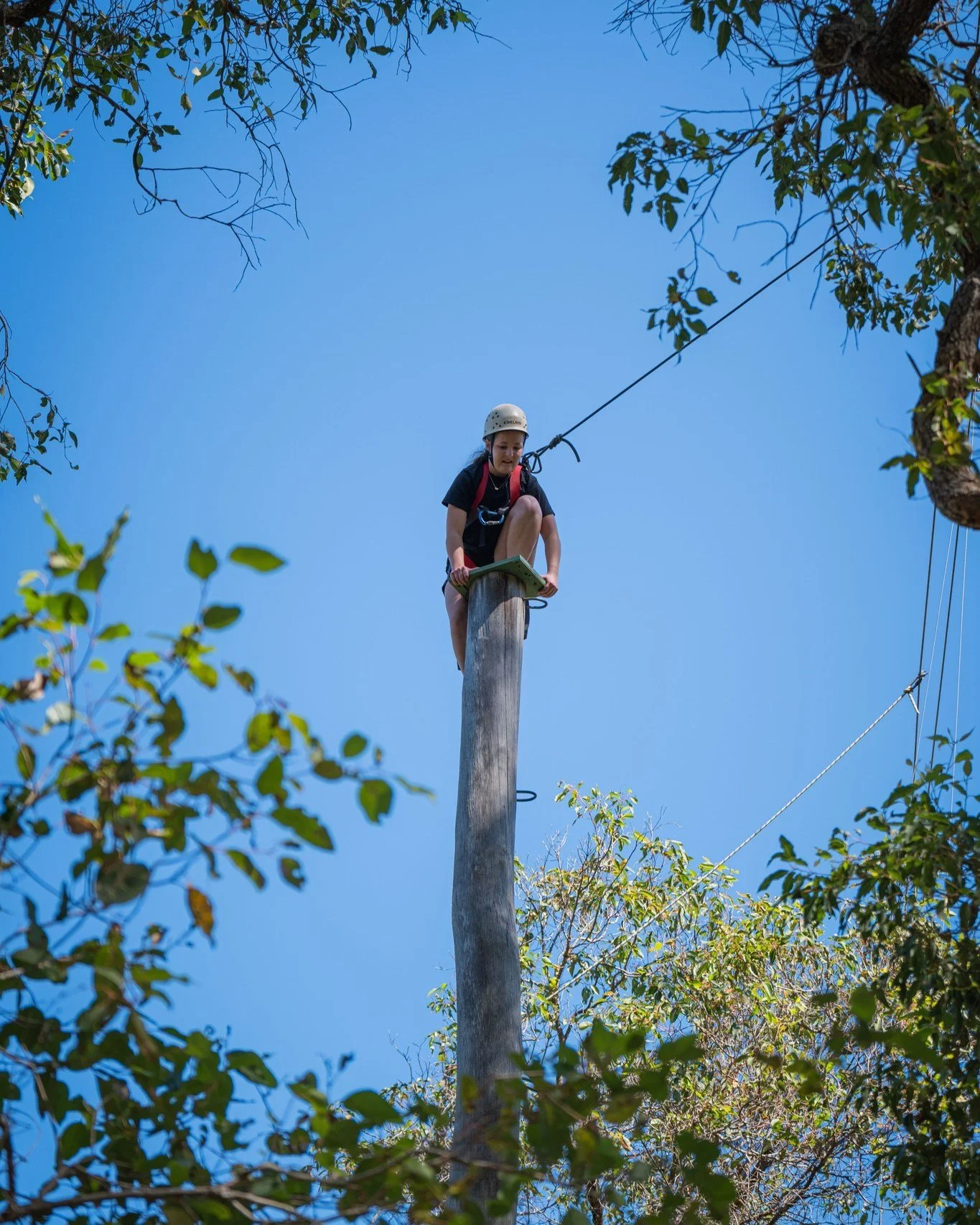 What does leadership actually look like?

For our Year 11s, it meant getting out of their comfort zones, tackling ropes courses and team challenges at Perth HPC, and then looking at leadership from a different perspective the following day.

With Tea