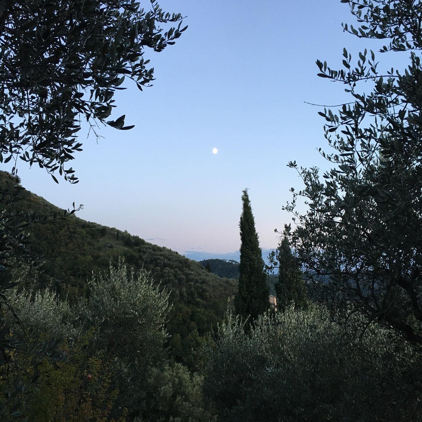 Sister Moon #italy #tuscany #moon #alignednature