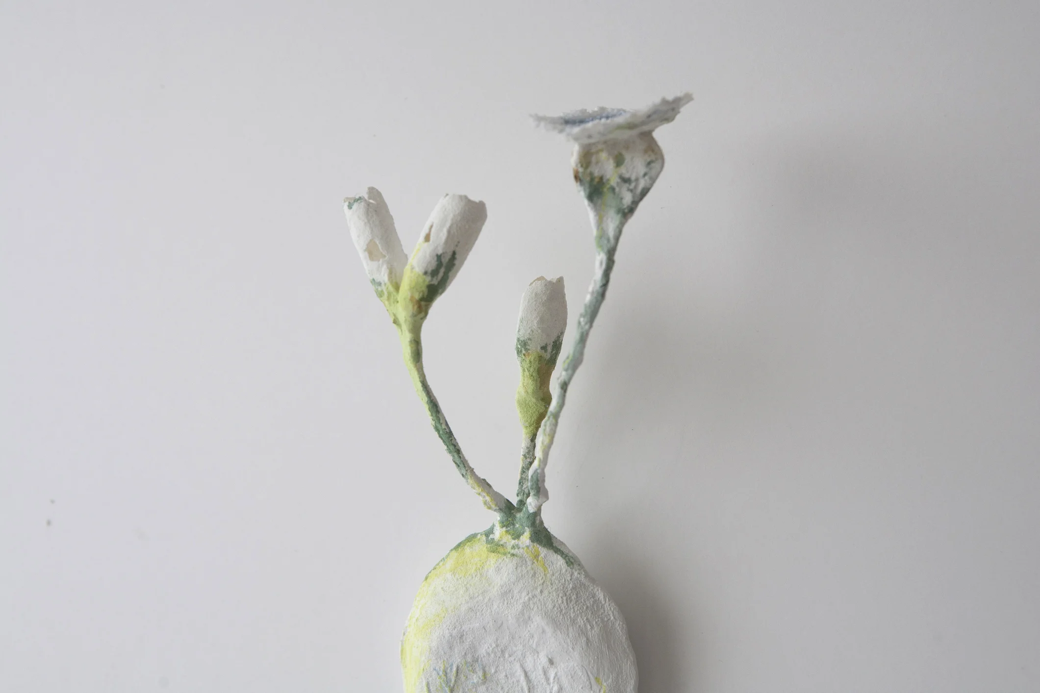 Botanic Antena