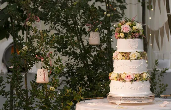cake1.jpg