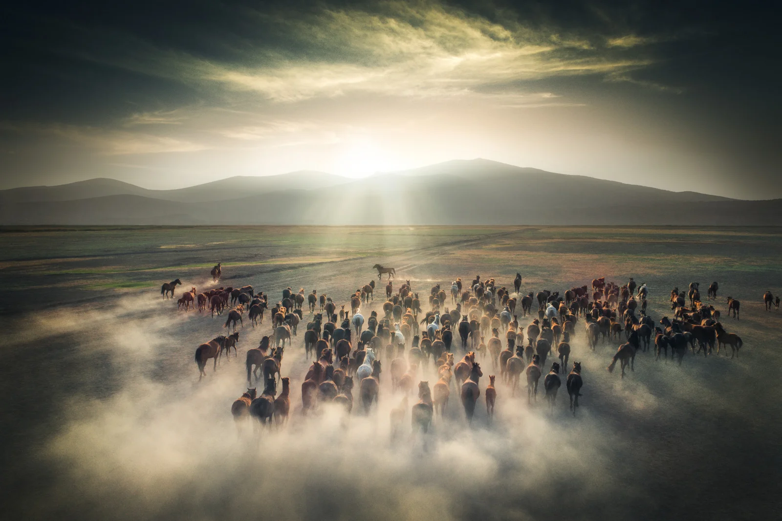 DJI_0017-1.jpg