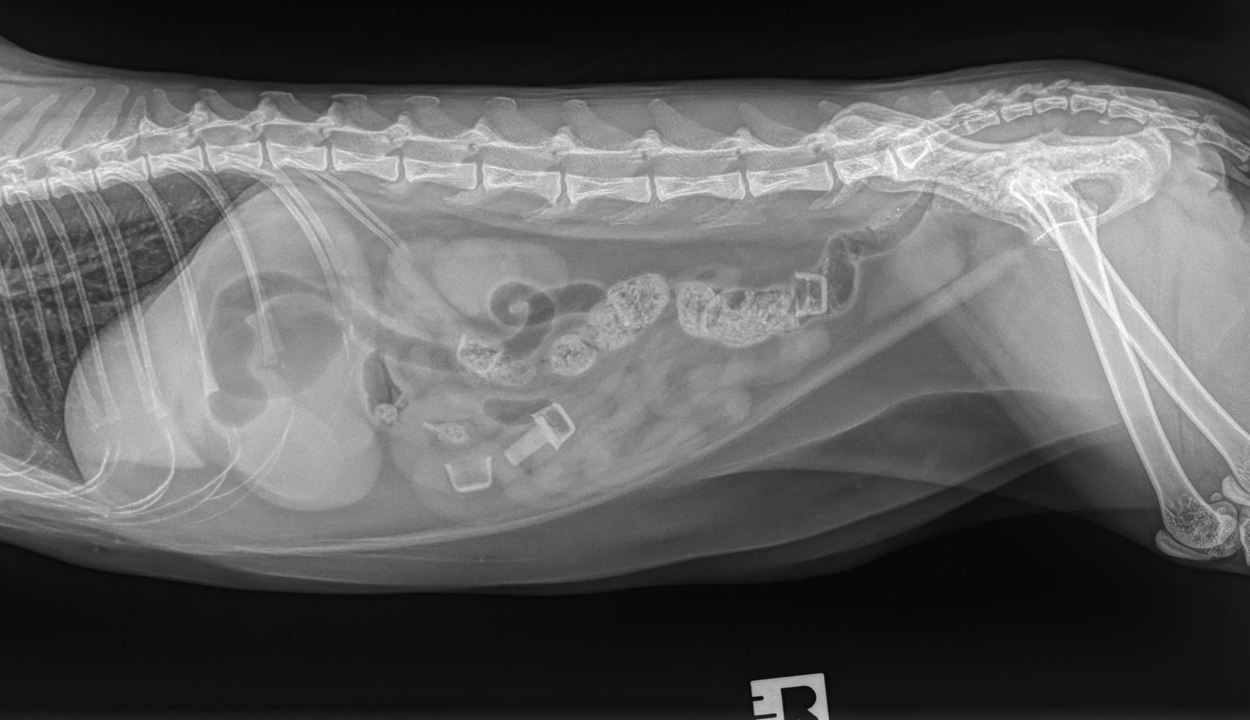 Case of the week 8.5.24