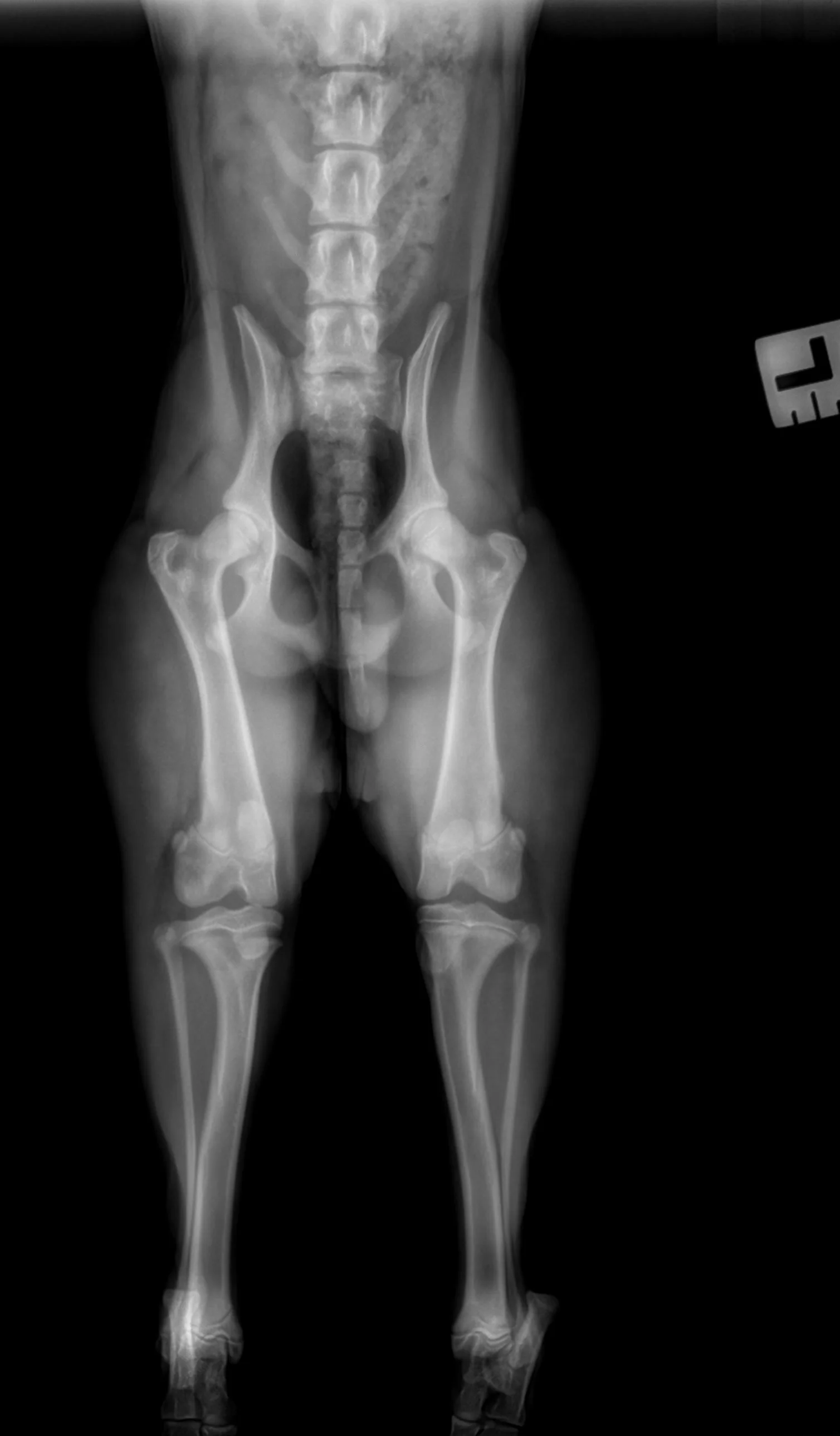 Case of the week 8.25.24