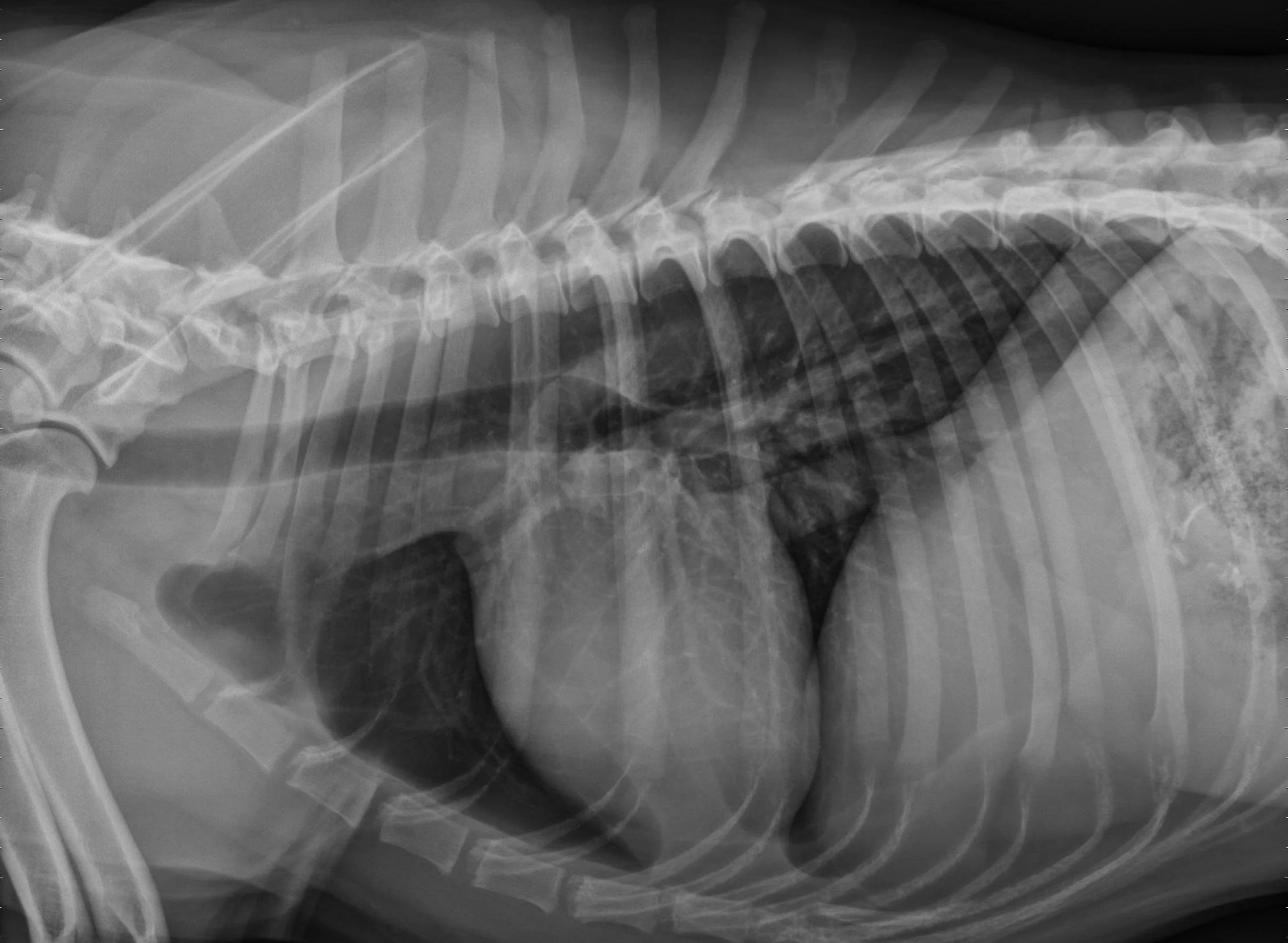 Case of the week 1.9.2024