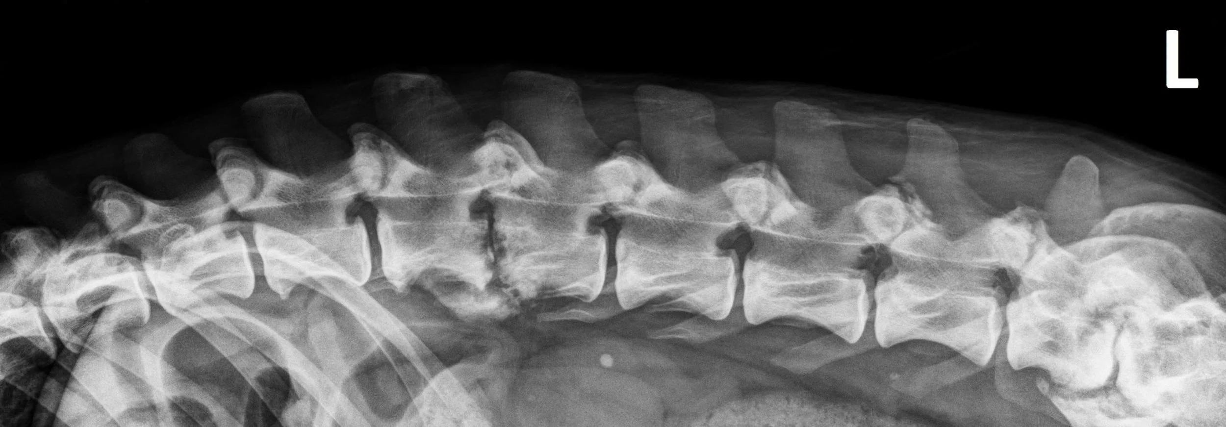 Case of the week 10.20.24