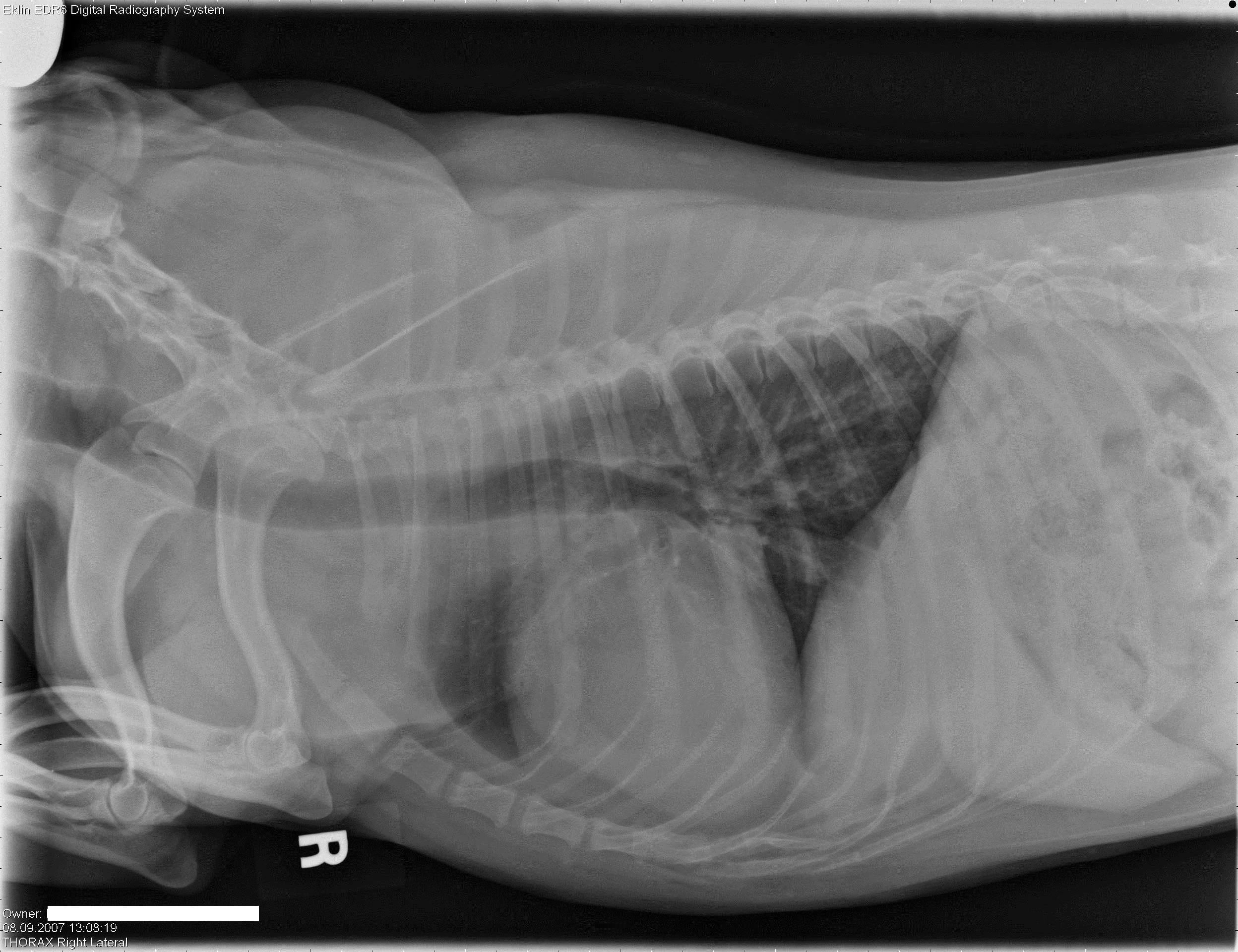 Case of the week 11.2.2024