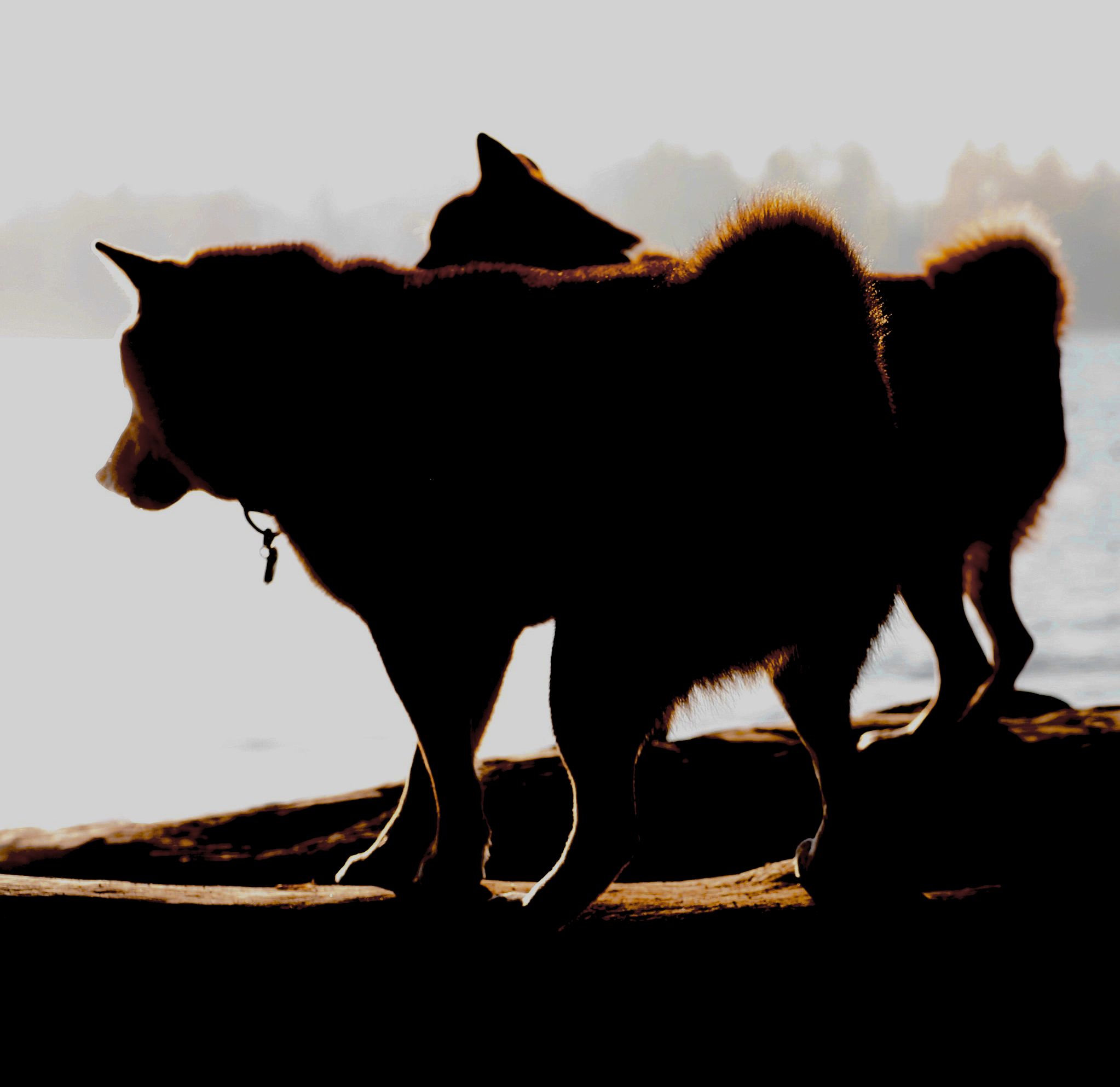 IMG_0683 2-Edit.png