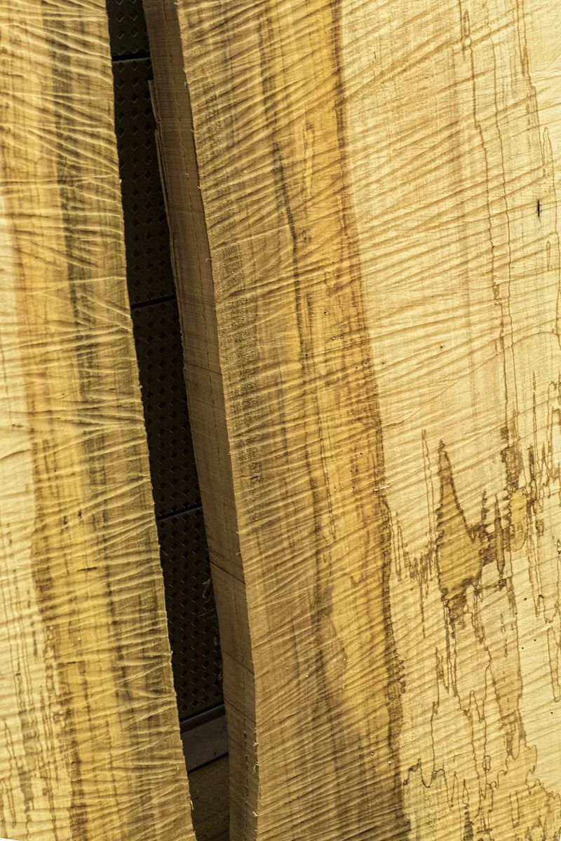 _A265525.jpg