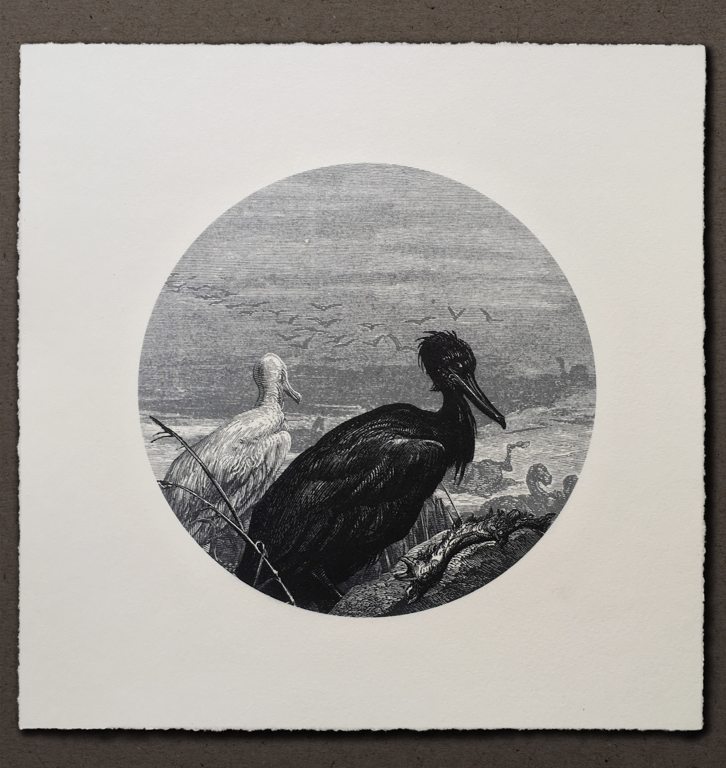 Tom Gallant photopolymer etchings from digital collages