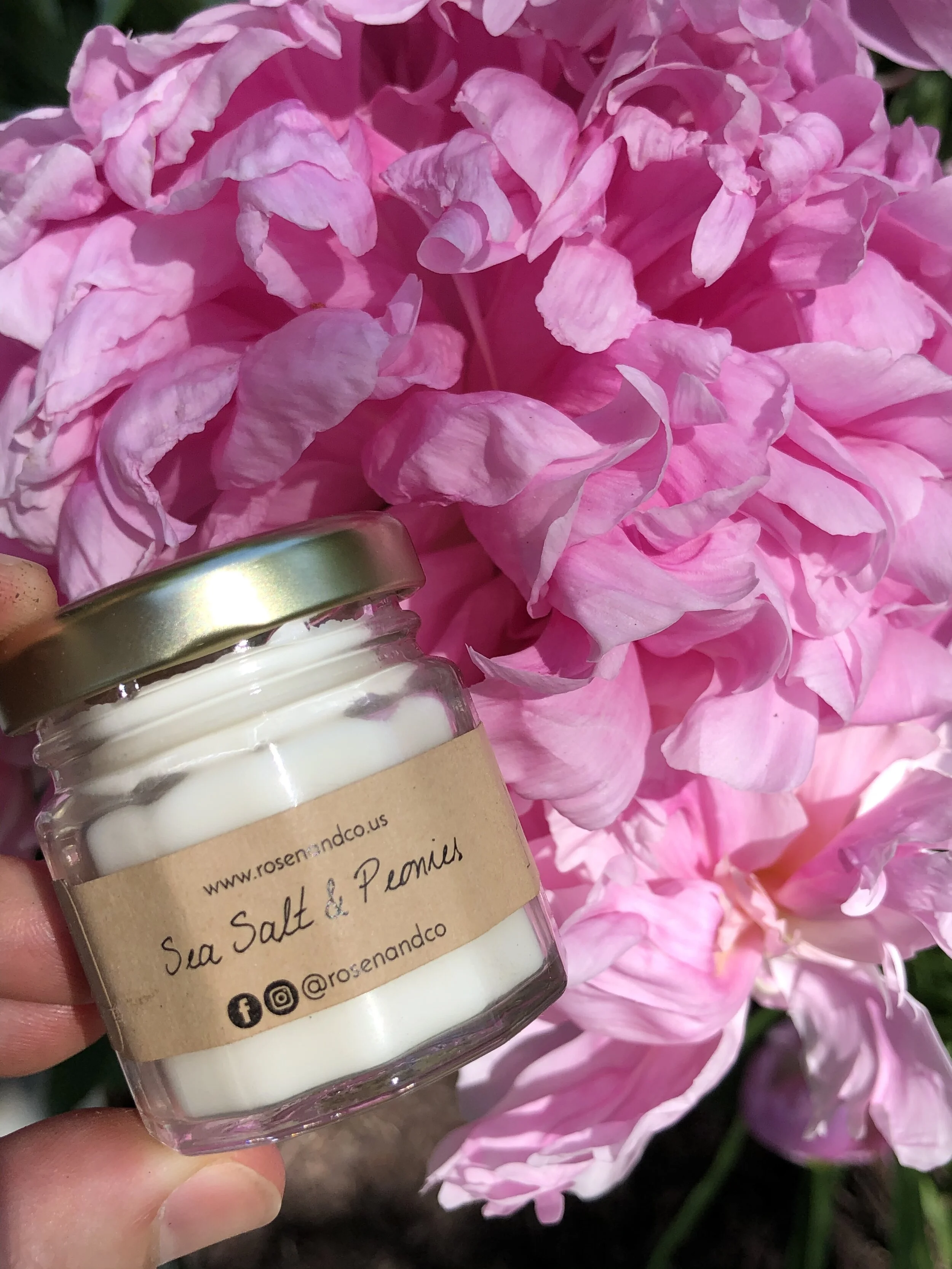 5E8B4A1E-C825-4B9B-98DA-3957F3811605