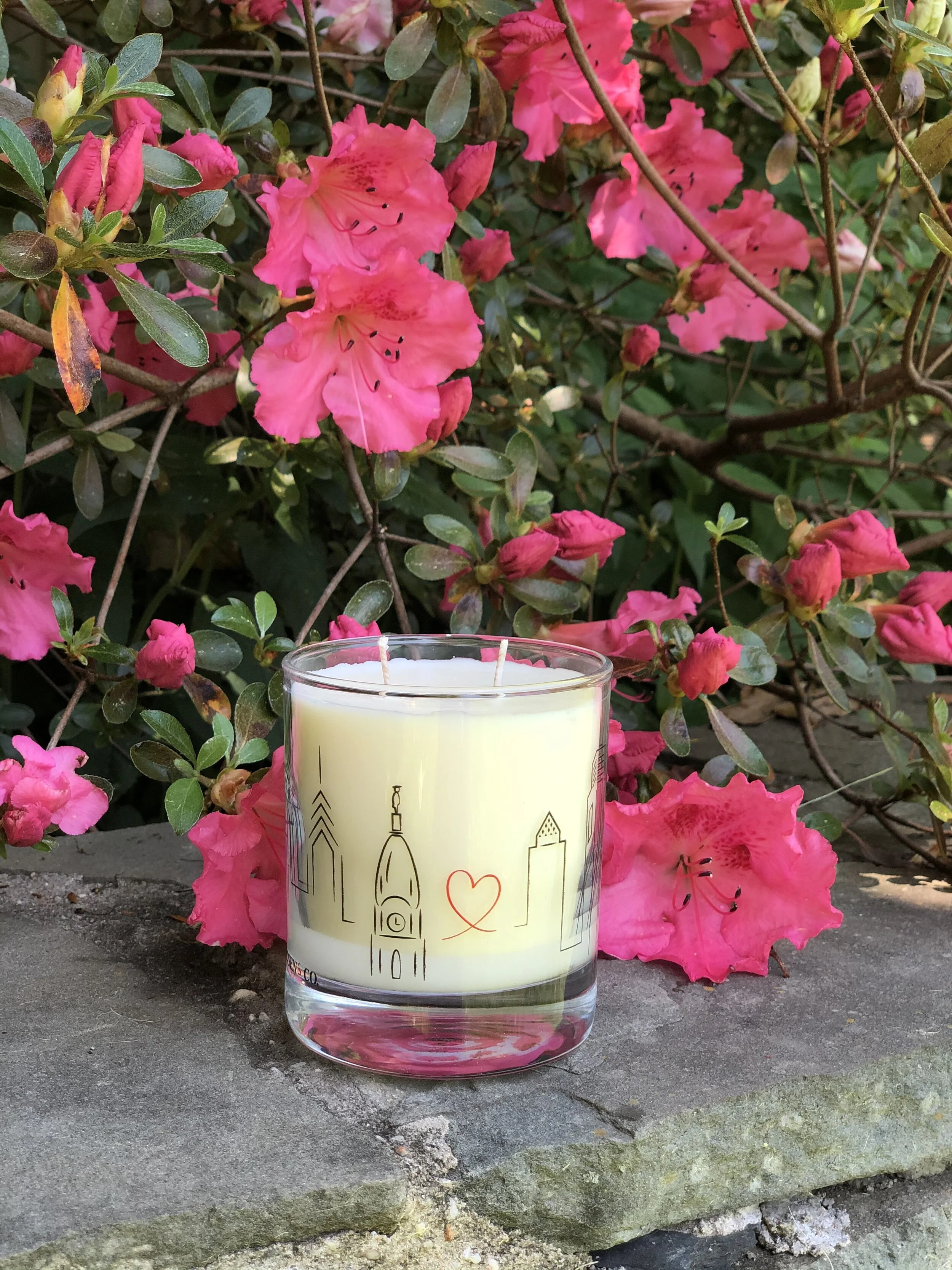 687A5BB2-43AD-48C7-992C-EC1DA71CDFDF