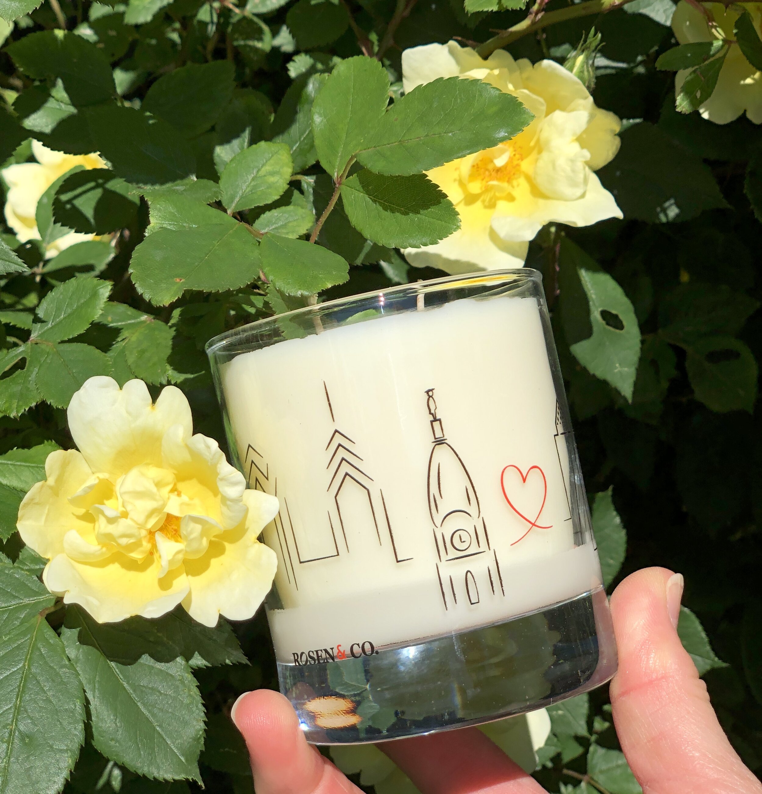 BA6B04DC-EDFE-4111-814F-A32C5B534C66