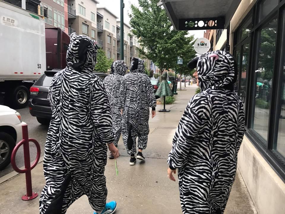 Zebras.jpg