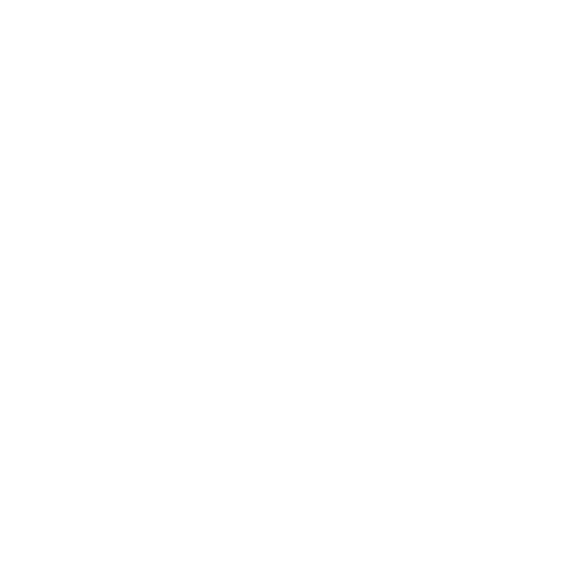 BigBearX