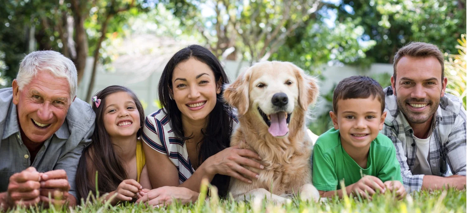 happy-family-in-a-park-picture-id699849122-2.jpg