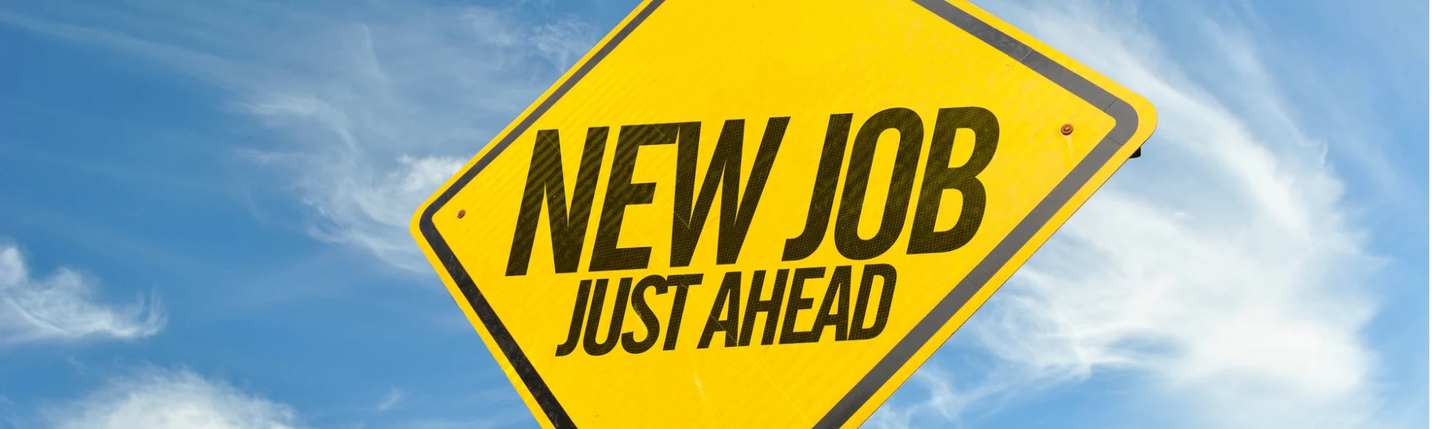 new job large.jpg