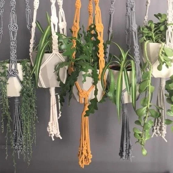 macram plant hanger kit  cocoon&me