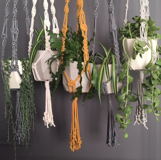 Plant hangers.jpg