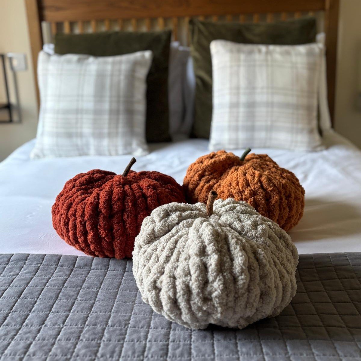 Pumpkin on Bed SQ.jpeg