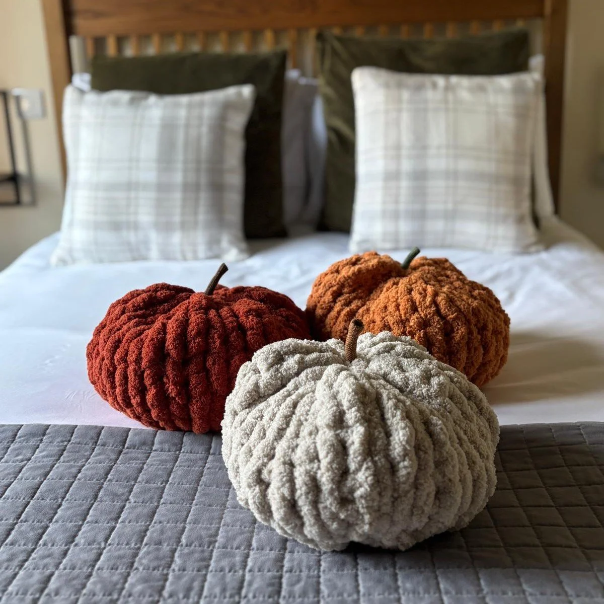 Pumpkin on Bed SQ.jpeg (Copy)