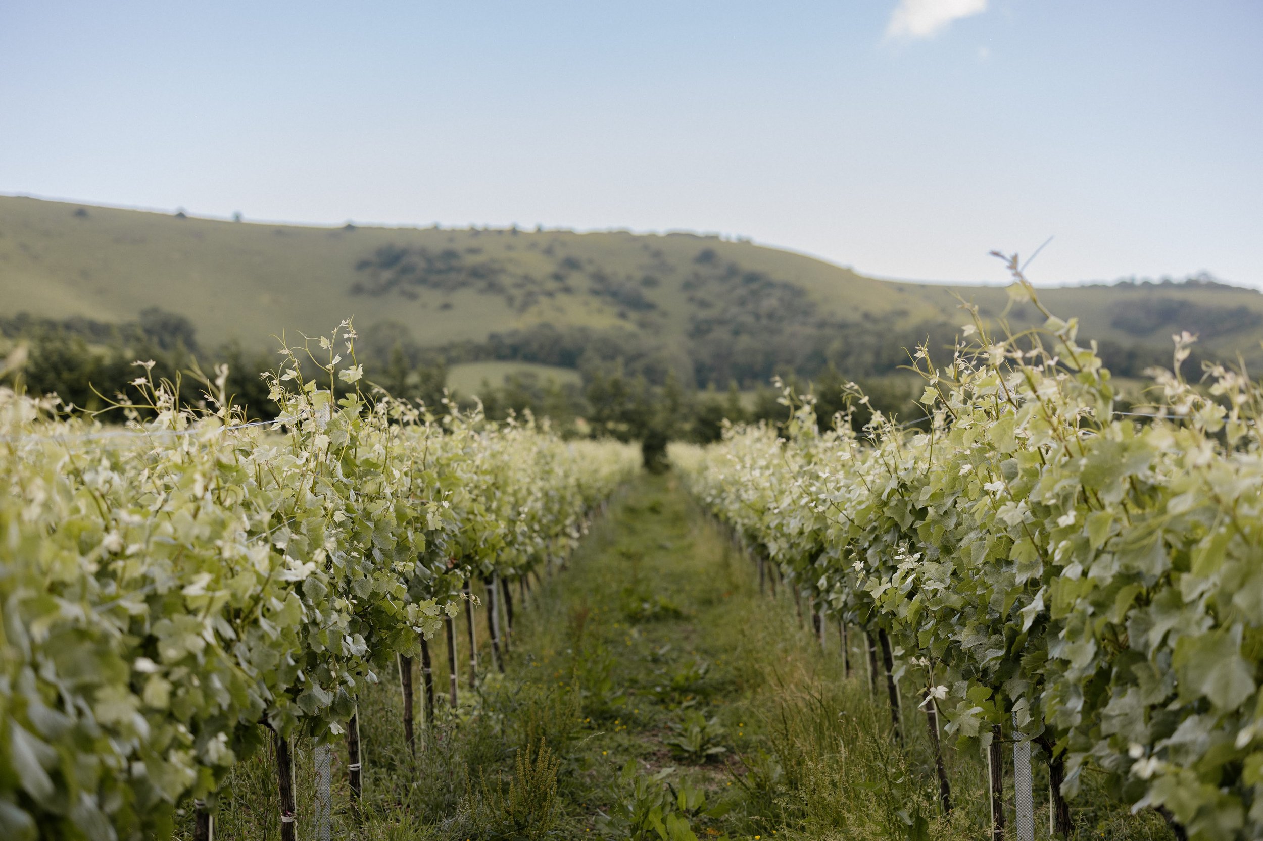 Lucy & Jordan-516(4).jpg