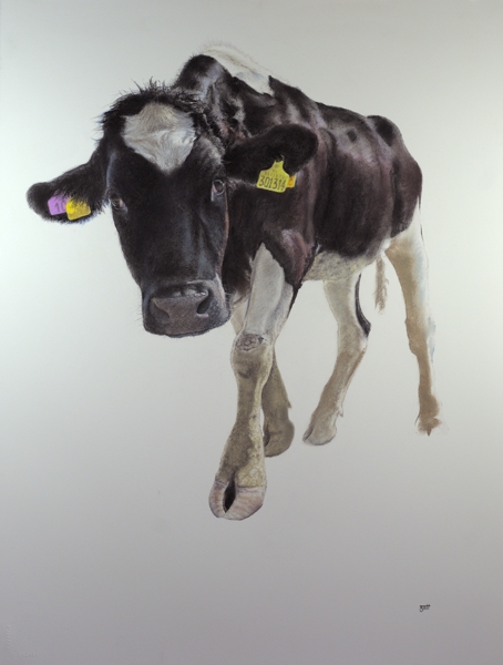 Moon Calf (mini).jpg