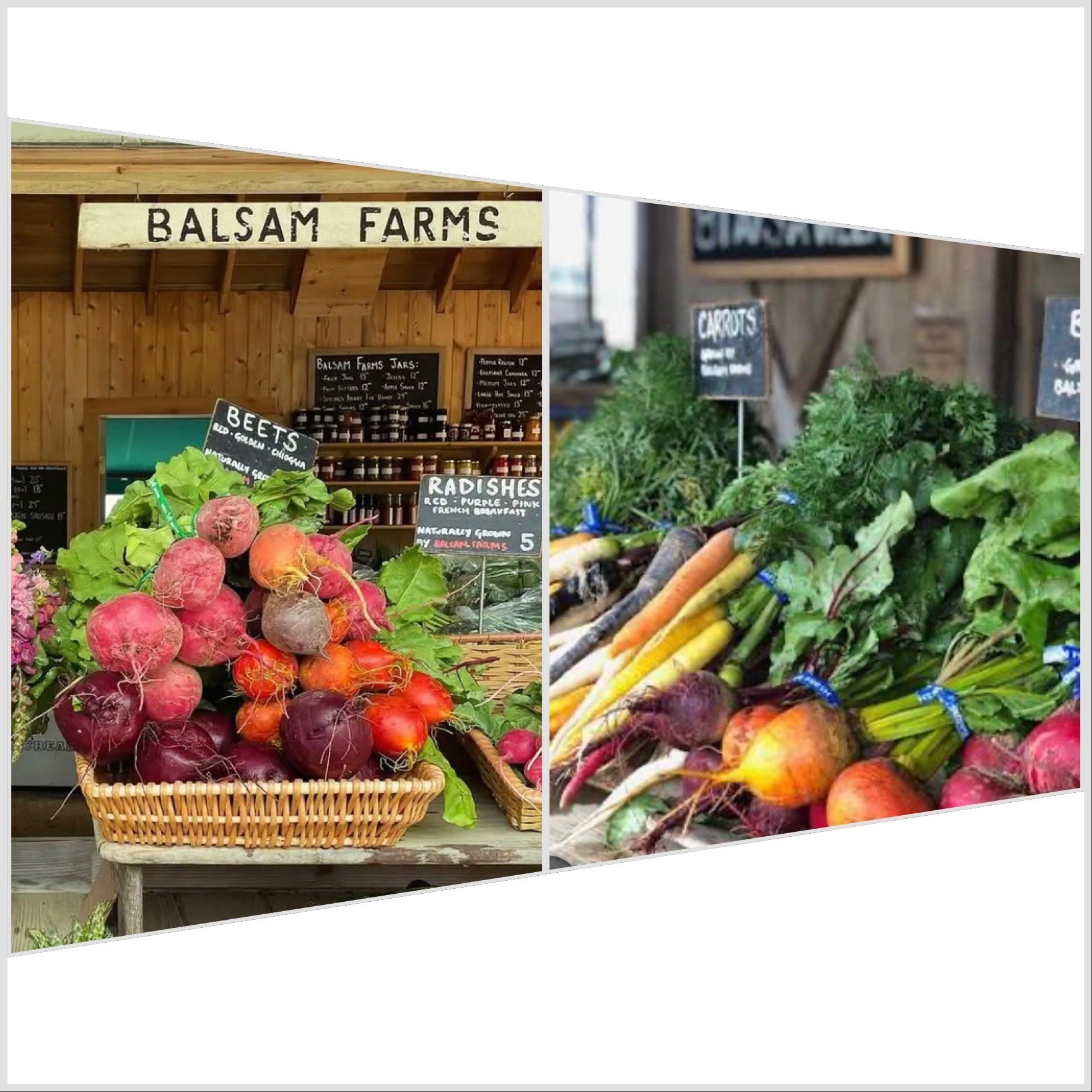 Balsam.JPEG