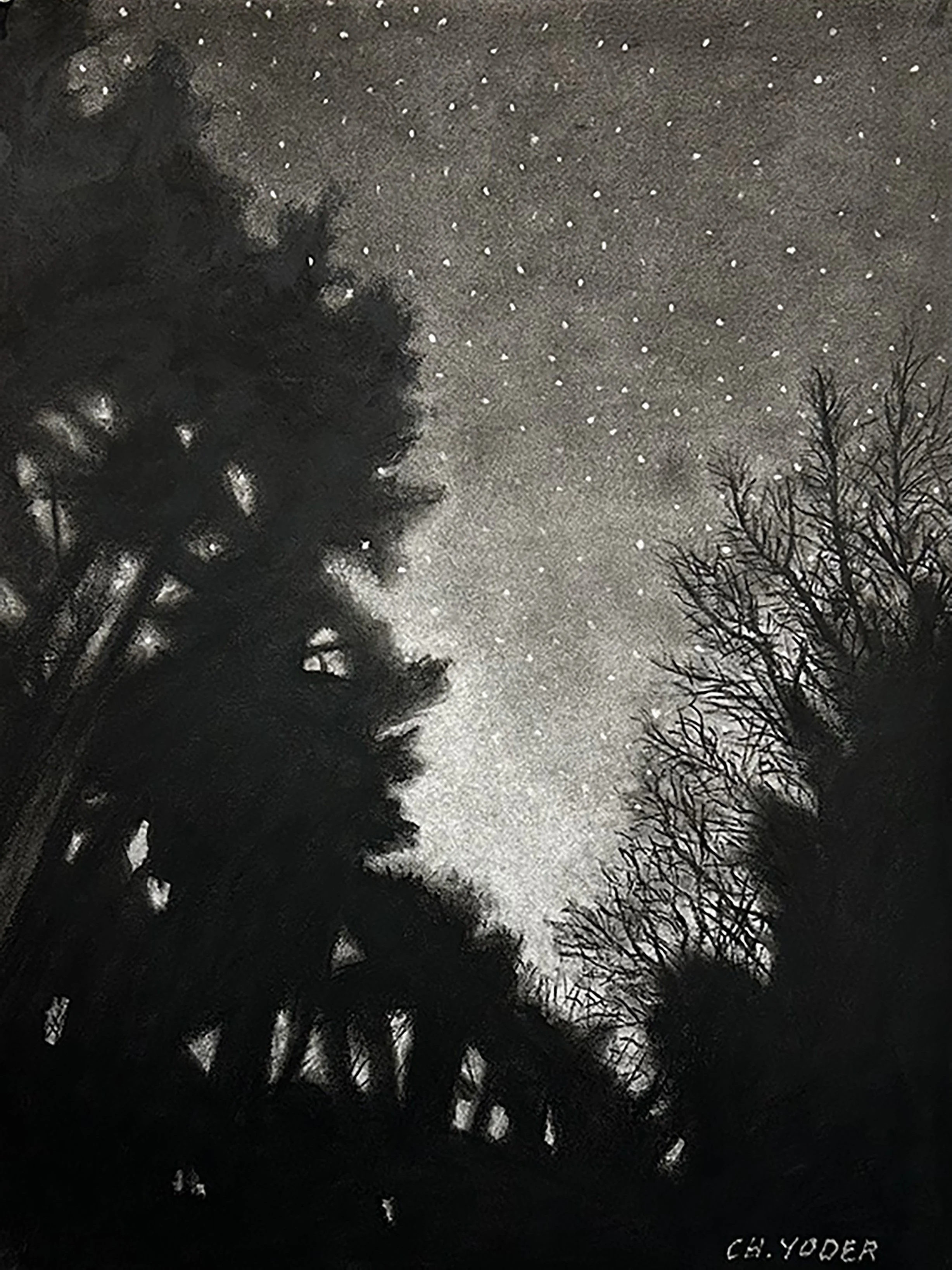 Night Lights 2026, charcoal on paper, 24 x 18.jpg