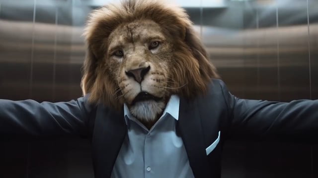 King of the City Jungle