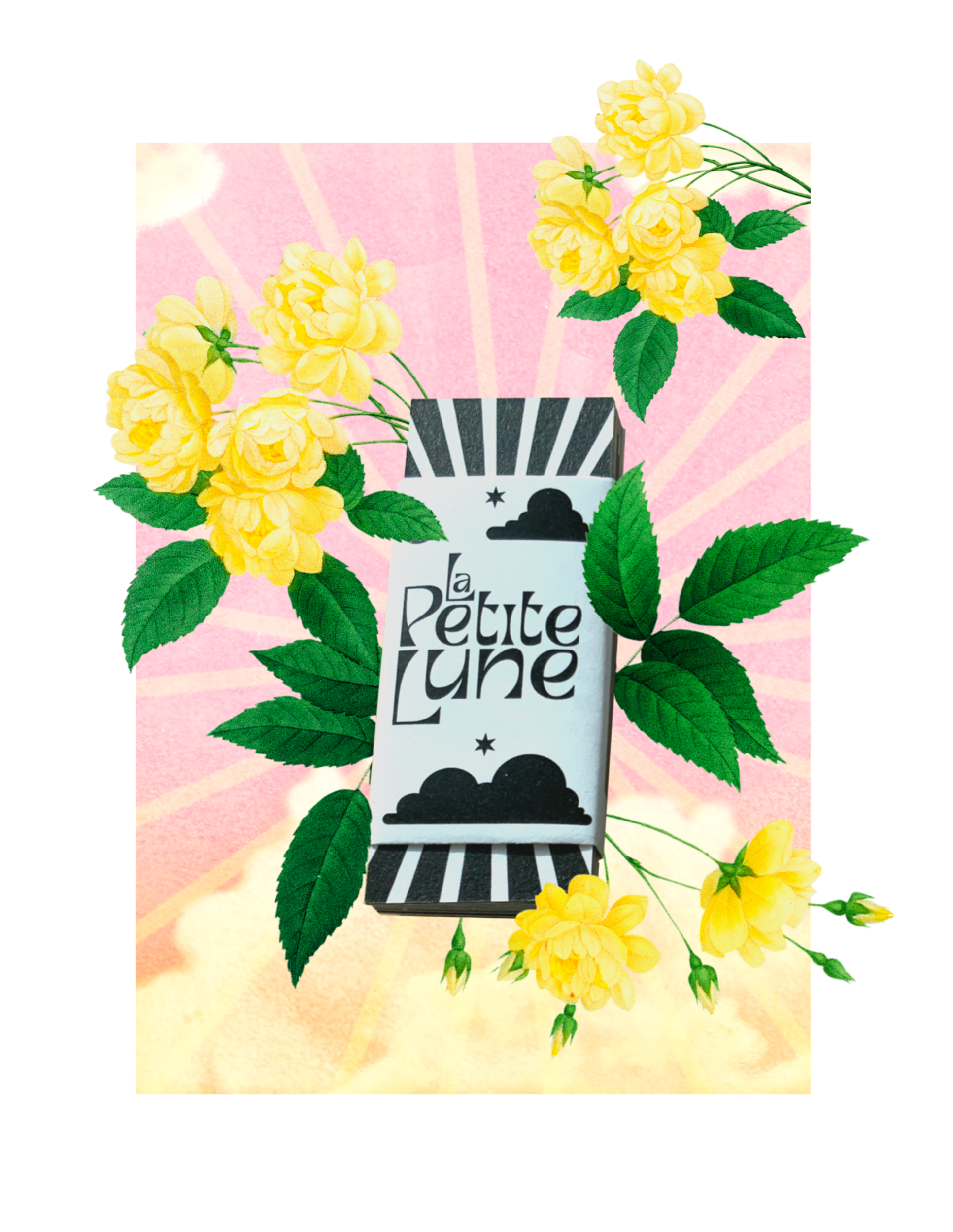 54B4512C-46ED-404C-ADB9-257D0C74D875