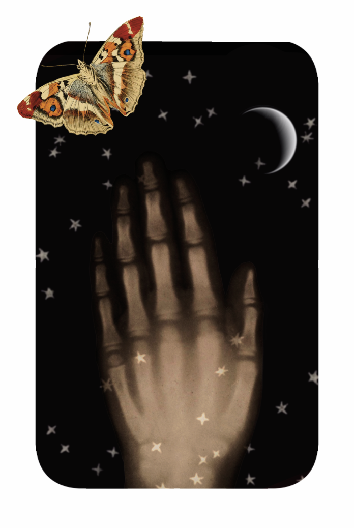 4 2.png