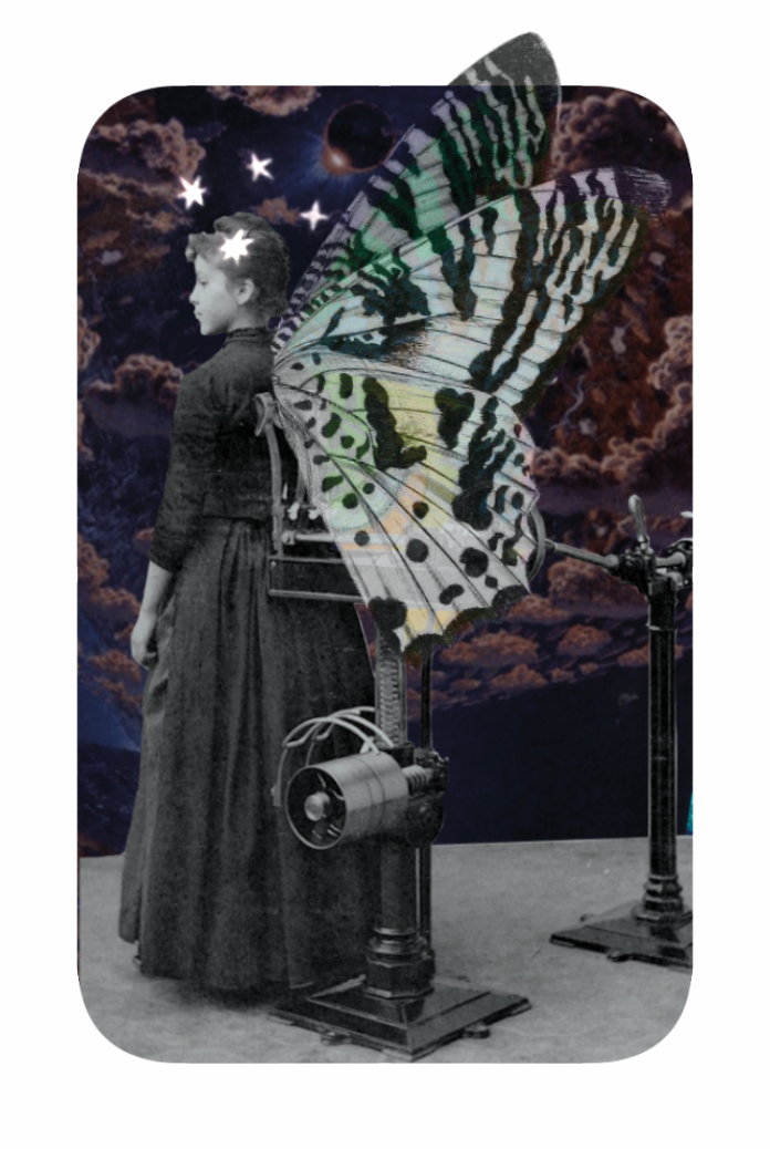 7 2.png