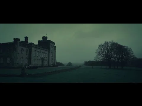  "SLEEPING IN THE BACK SEAT"&nbsp;TIGERCATS,&nbsp;2015, LONDON 