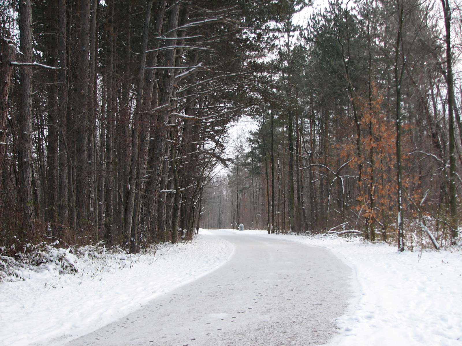 Winter scene along the Beaver Creek Loop trail