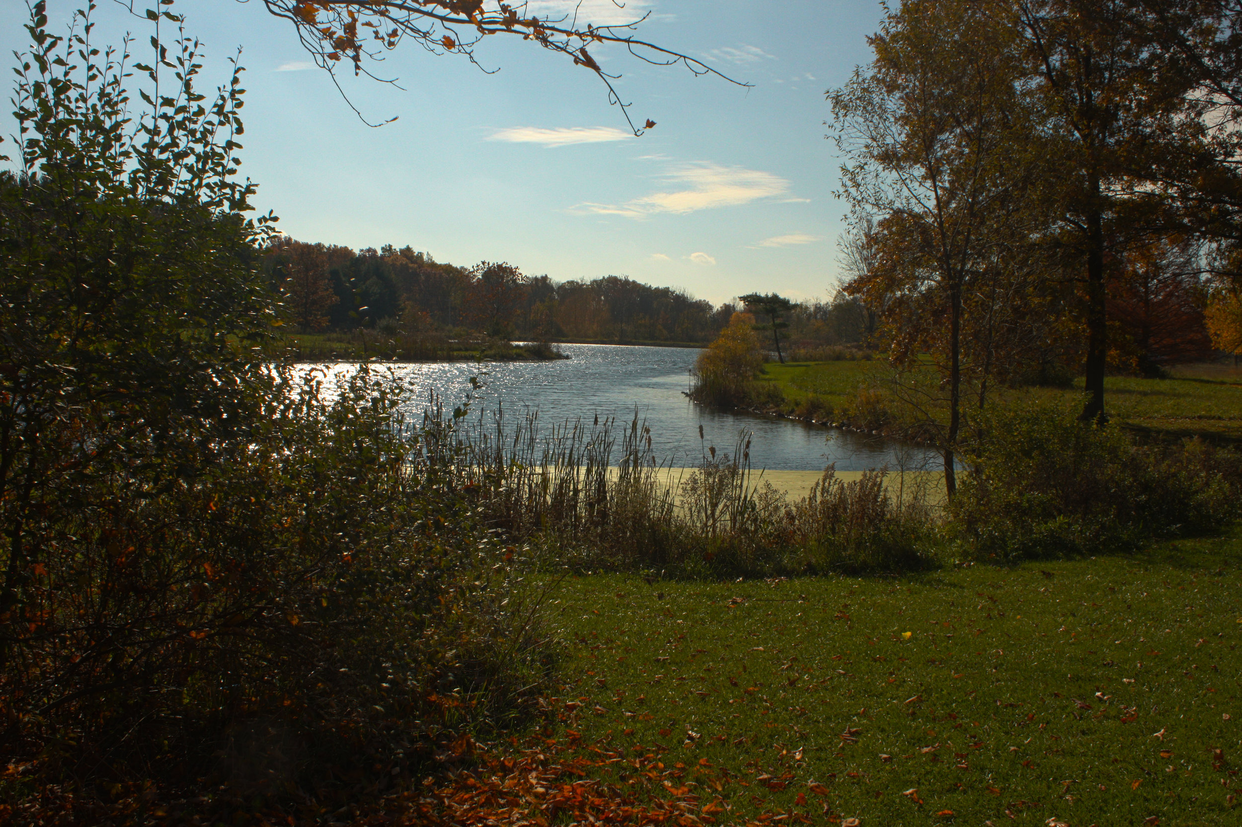 One of the ponds located at the Duck Pond Picnic Area